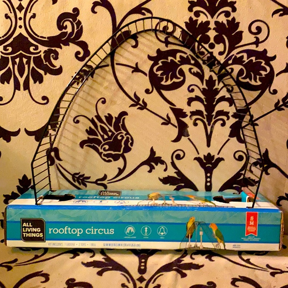 Rooftop Parrot Circus